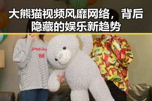 大熊猫视频风靡网络，背后隐藏的娱乐新趋势