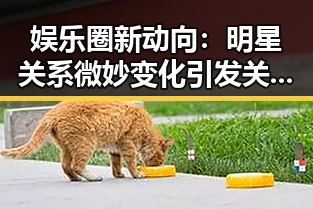 娱乐圈新动向：明星关系微妙变化引发关注